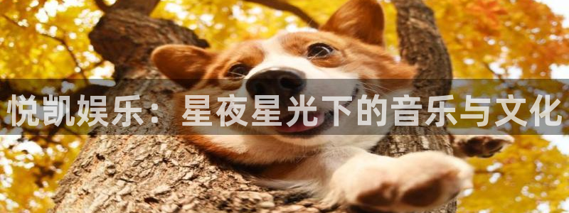 wg电子：悦凯娱乐：星夜星光下的音乐与文化