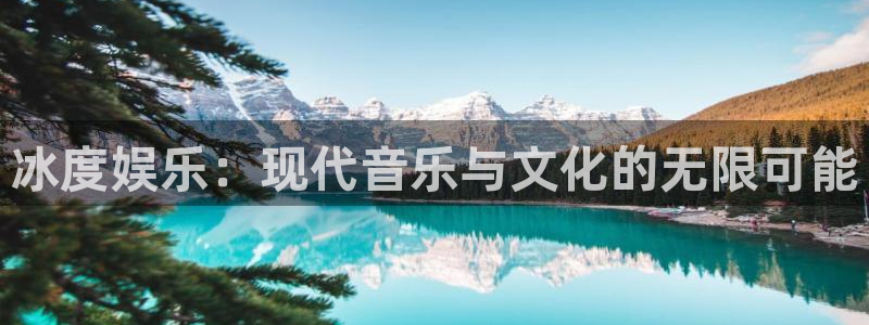wg电子：冰度娱乐：现代音乐与文化的无限可能
