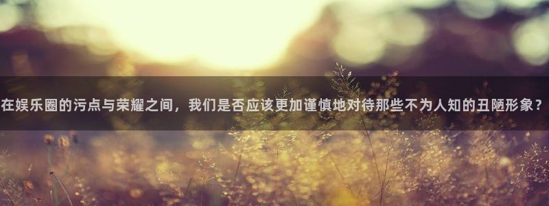 wg电子：在娱乐圈的污点与荣耀之间，我们是否应该更加谨慎地对待那些不为人知的丑陋形象？