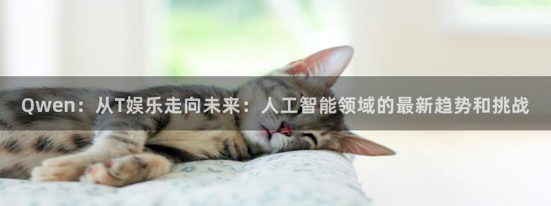 wg电子：Qwen：从T娱乐走向未来：人工智能领域的最新趋势和挑战
