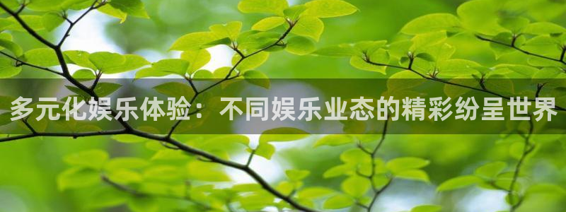 wg电子平台：多元化娱乐体验：不同娱乐业态的精彩纷呈世界
