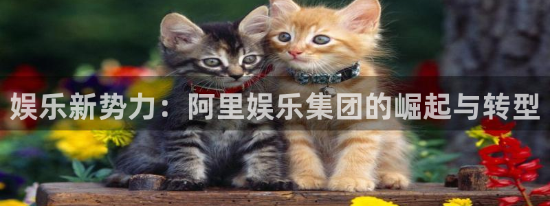 wg电子：娱乐新势力：阿里娱乐集团的崛起与转型