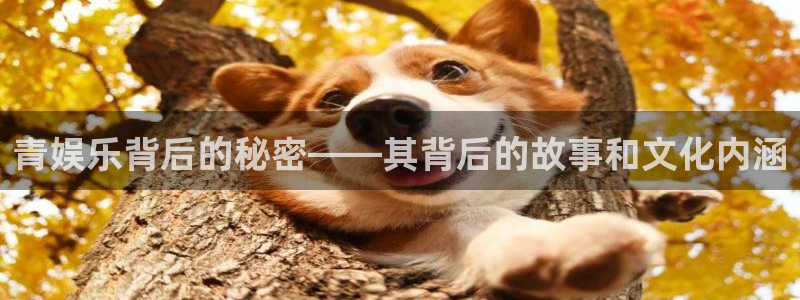 wg电子：青娱乐背后的秘密——其背后的故事和文化内涵