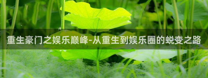 wg电子：重生豪门之娱乐巅峰-从重生到娱乐圈的蜕变之路