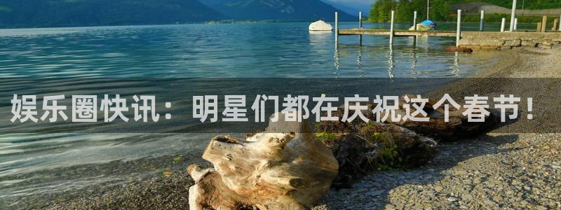 wg电子：娱乐圈快讯：明星们都在庆祝这个春节！