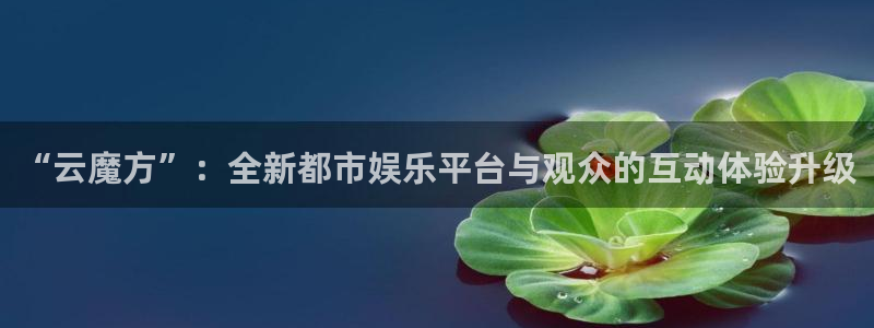 wg电子平台：“云魔方”：全新都市娱乐平台与观众的互动体验升级