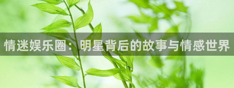 wg电子平台：情迷娱乐圈：明星背后的故事与情感世界