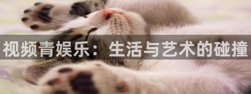wg电子平台：视频青娱乐：生活与艺术的碰撞